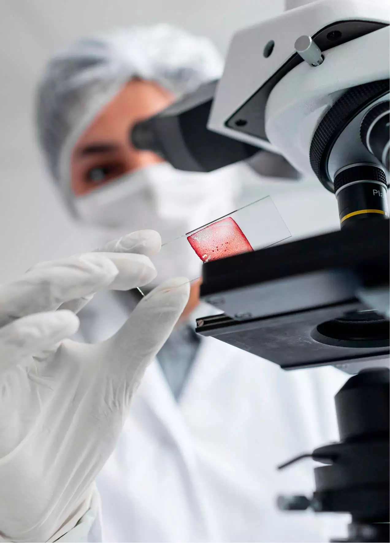 Hematologia